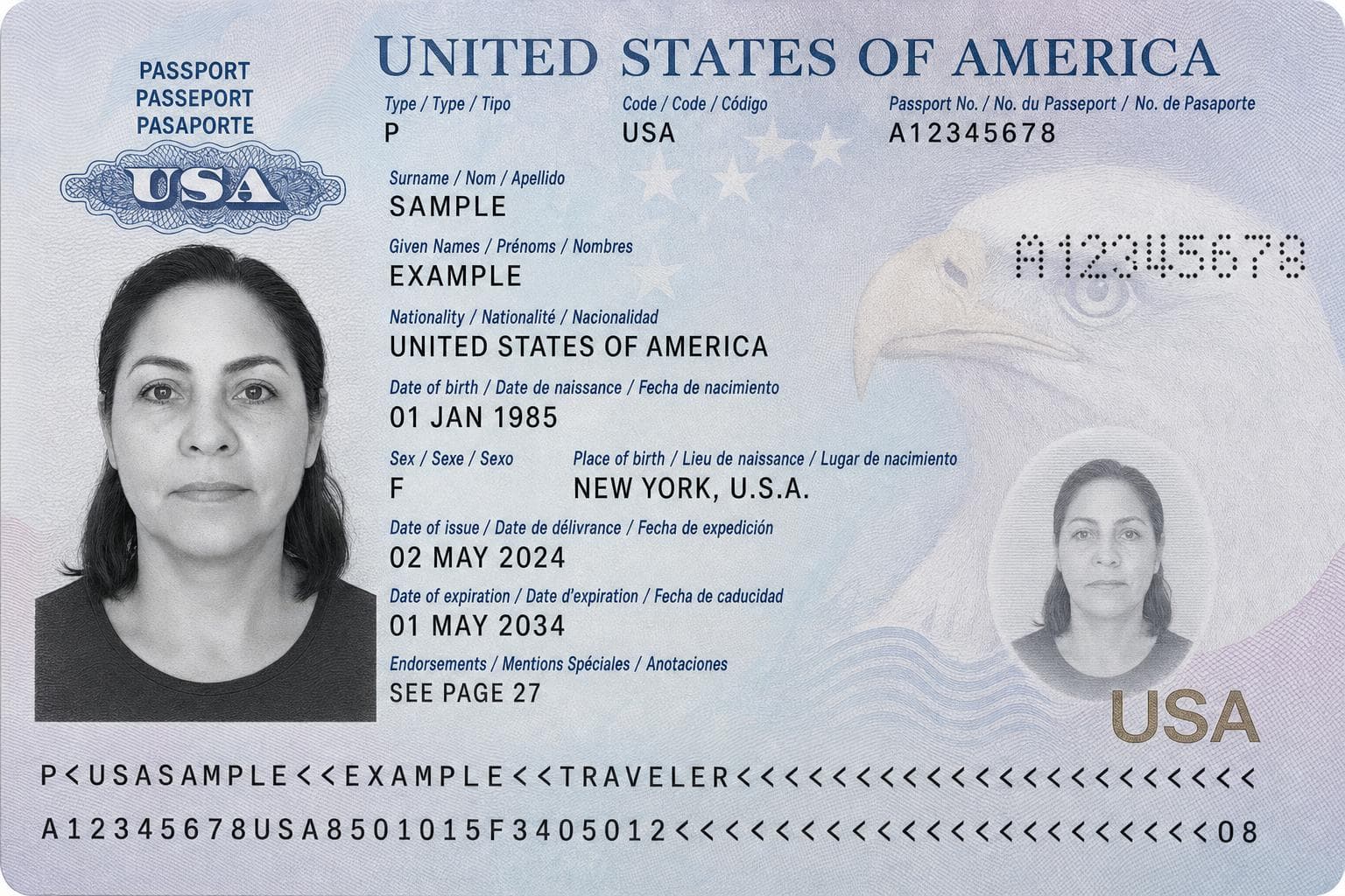 Illustration of final digital passport photo and print-ready sheet download